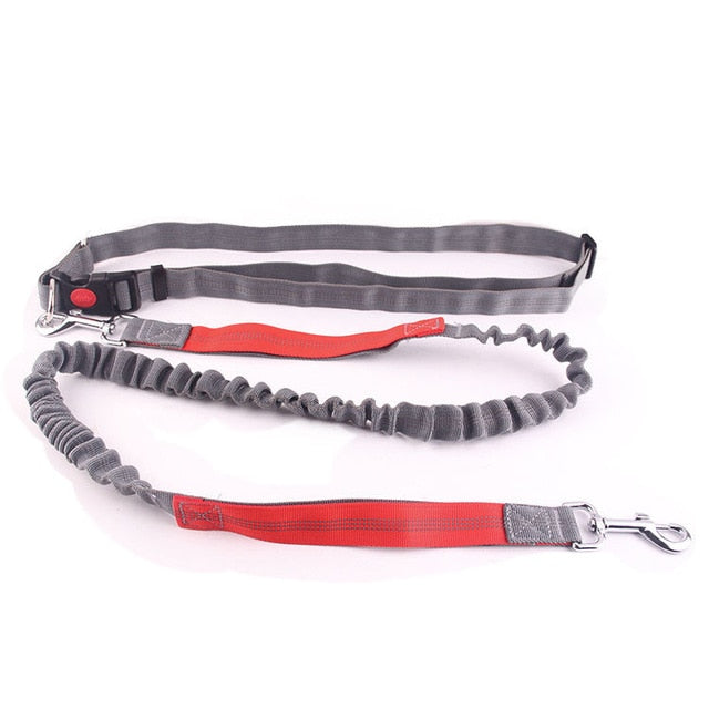 Dogs Harness Collar Jogging Lead
