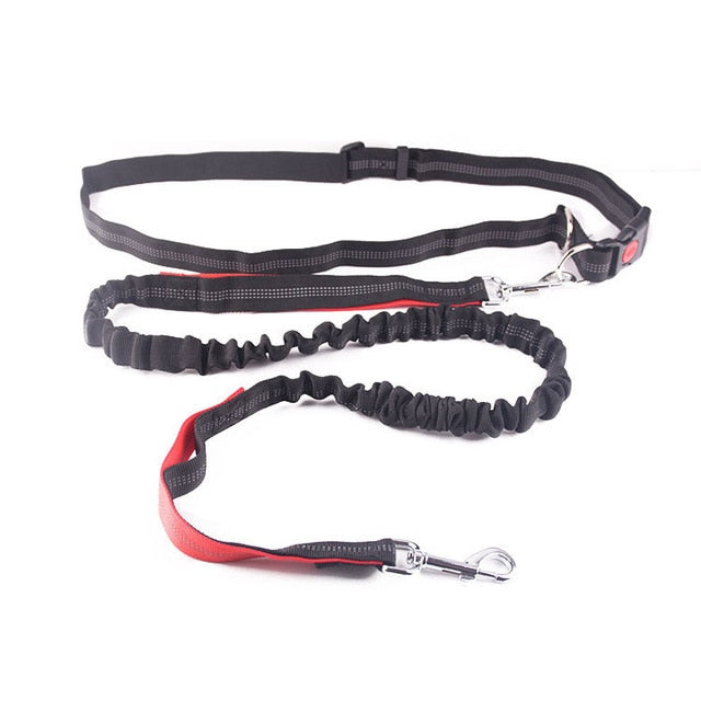 Dogs Harness Collar Jogging Lead