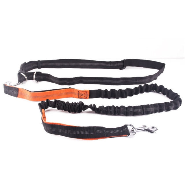 Dogs Harness Collar Jogging Lead