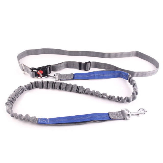 Dogs Harness Collar Jogging Lead