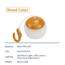 Outdoor LED Camping Lamp