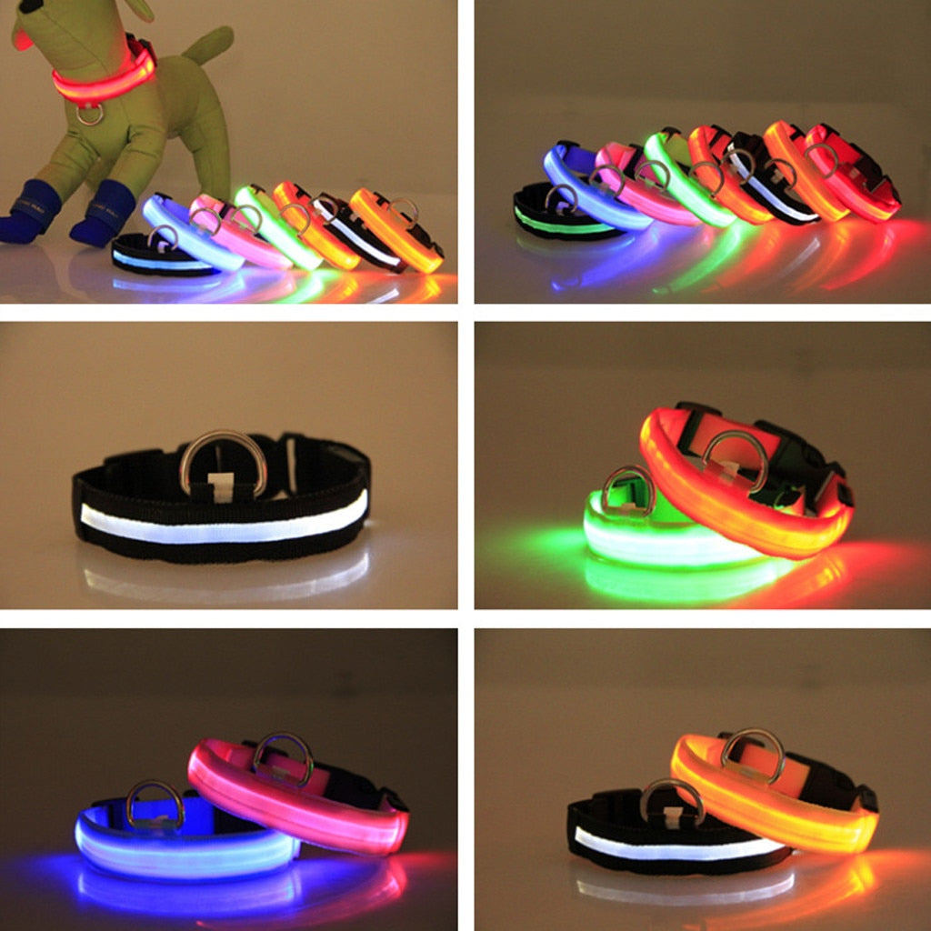 Pet Collar For Led Lights