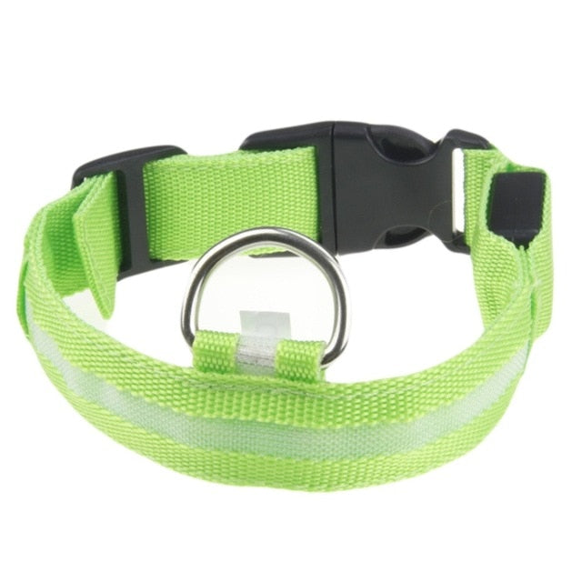 Pet Collar For Led Lights