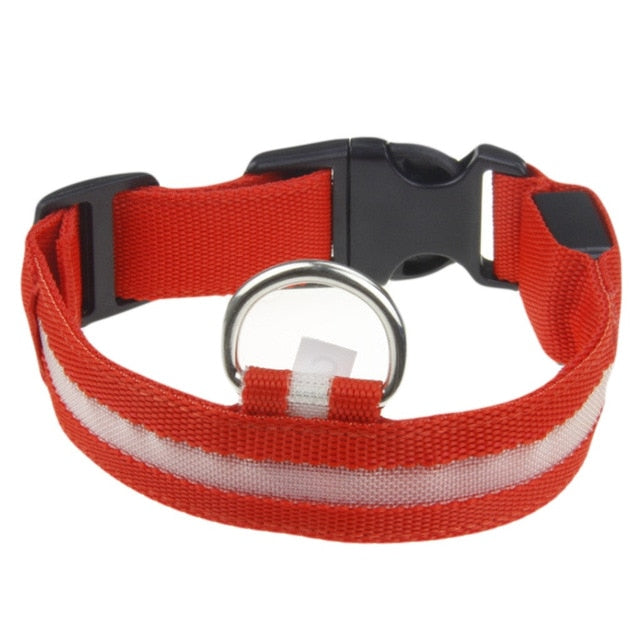 Pet Collar For Led Lights