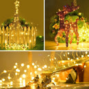 USB Powered Fairy String Lights with Remote Control