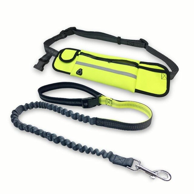 Dogs Harness Collar Jogging Lead