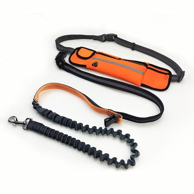 Dogs Harness Collar Jogging Lead