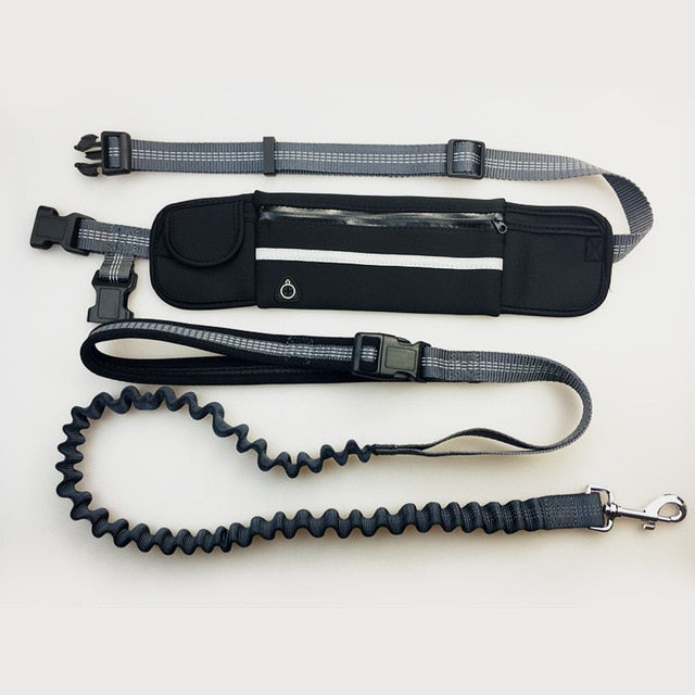 Dogs Harness Collar Jogging Lead