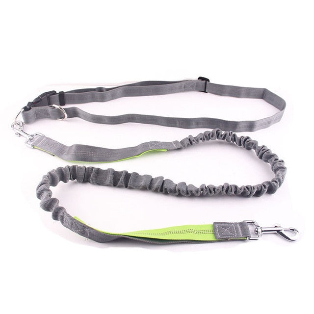 Dogs Harness Collar Jogging Lead