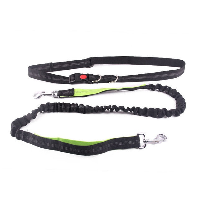 Dogs Harness Collar Jogging Lead