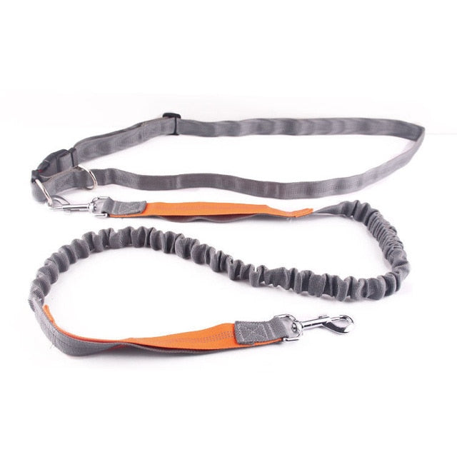 Dogs Harness Collar Jogging Lead
