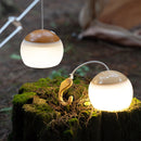 Outdoor LED Camping Lamp