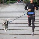 Dogs Harness Collar Jogging Lead