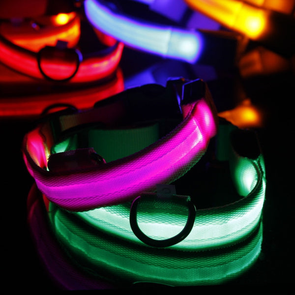 Pet Collar For Led Lights