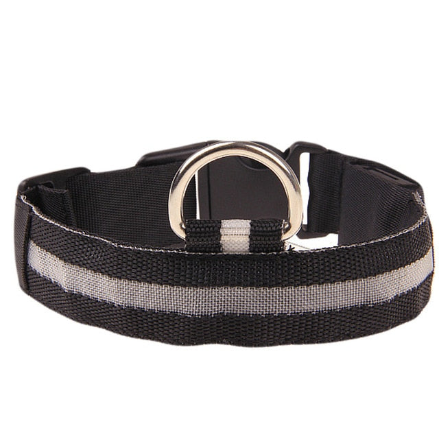 Pet Collar For Led Lights