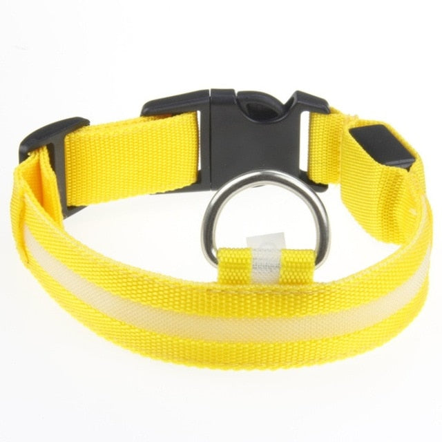 Pet Collar For Led Lights