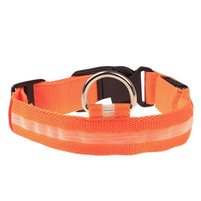Pet Collar For Led Lights