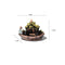 Backflow Incense Burner